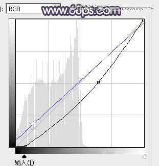 Photoshop调出树下女孩淡淡的冷色效果