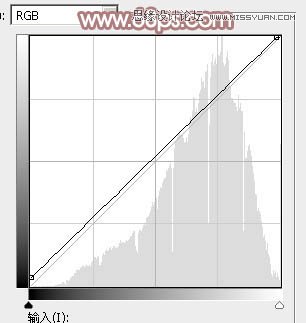 Photoshop调出铁轨美女梦幻柔色效果,PS教程