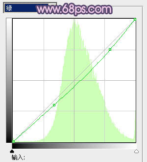 PS调色制作梦幻野花丛中的人物照片教程