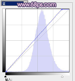 PS调色制作梦幻野花丛中的人物照片教程