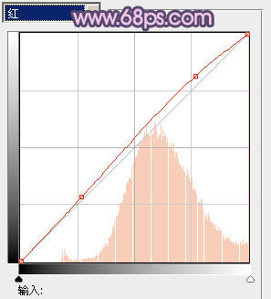 PS调色制作梦幻野花丛中的人物照片教程