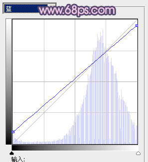 PS调色制作梦幻野花丛中的人物照片教程