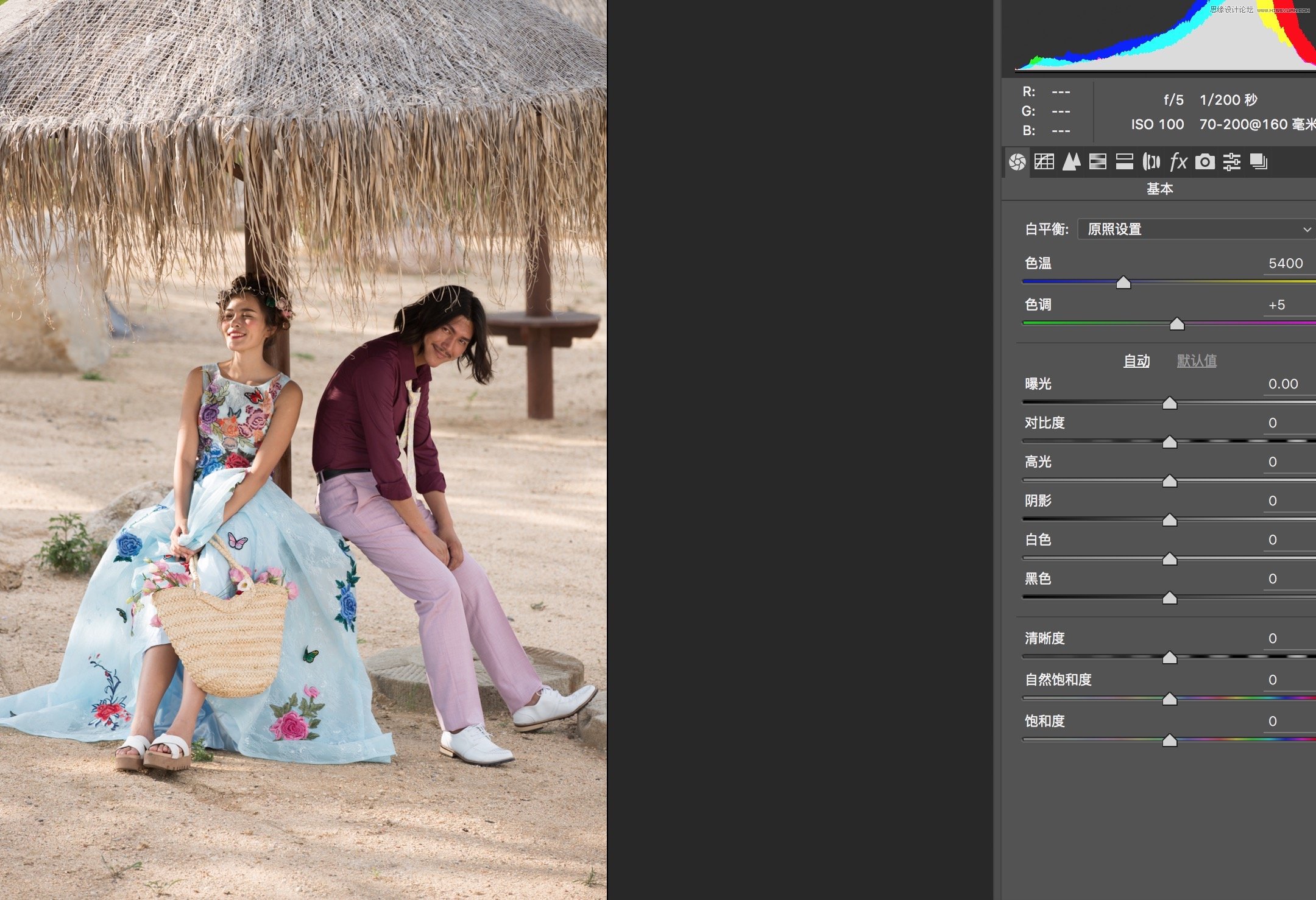 Photoshop调出外景婚片质感的电影胶片效果