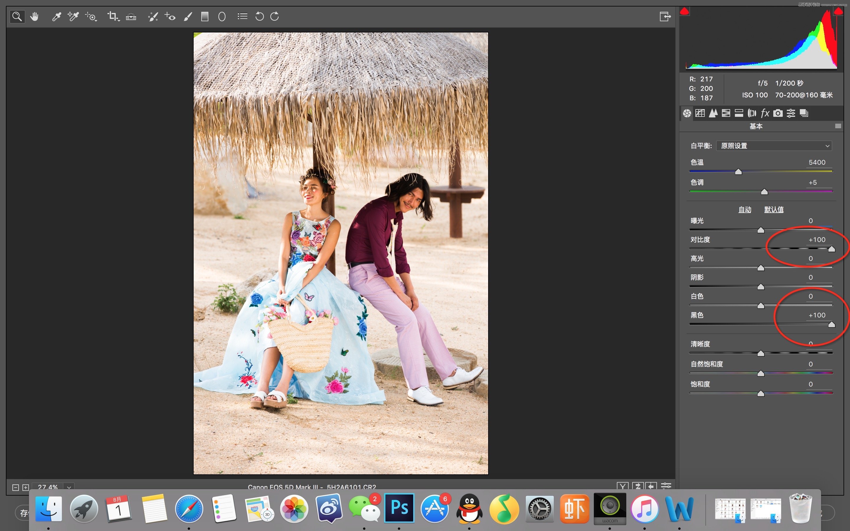 Photoshop调出外景婚片质感的电影胶片效果