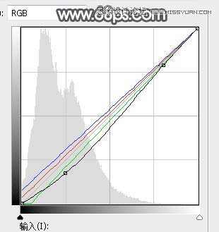 Photoshop调出外景美女人像冷色光斑效果