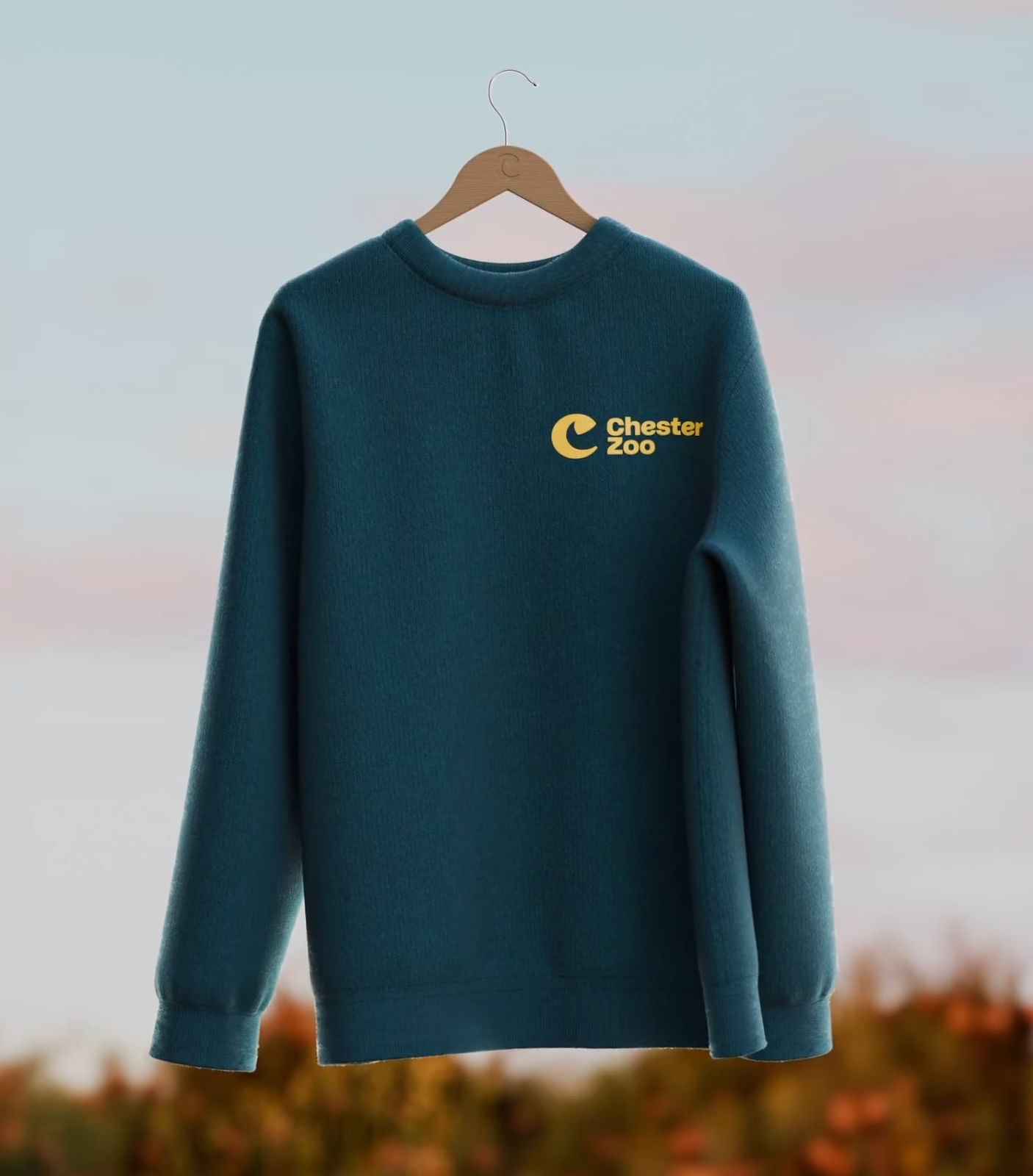 加拿大舞台艺术公司Canadian Stage品牌形象设计