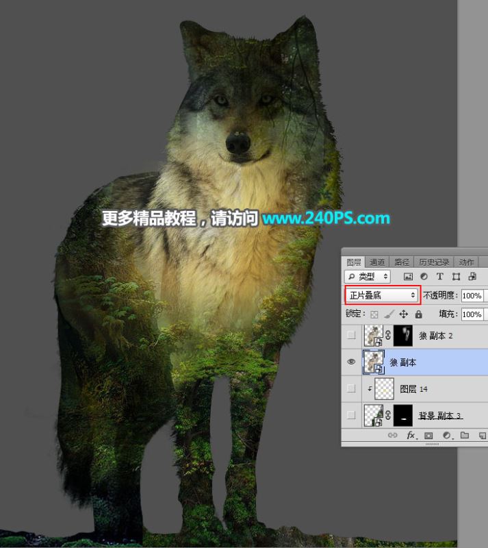 ps怎样制作合成狼与森林结合的二次曝光效果?