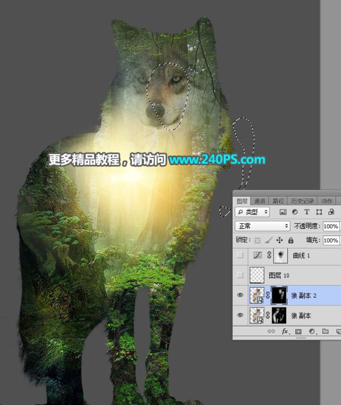 ps怎样制作合成狼与森林结合的二次曝光效果?