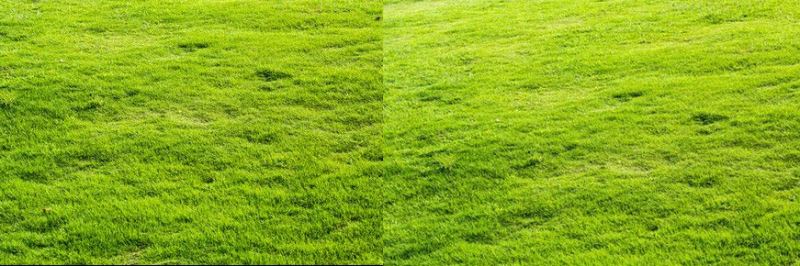 ps创意合成巨大书本中儿童们欢乐踏春的图片教程