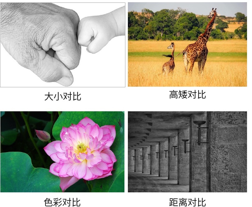 详细解析板式设计中的对比原则