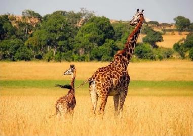 详细解析板式设计中的对比原则案例演示