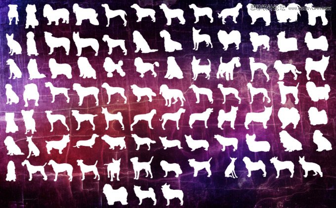 世界知名犬类剪影PS形状
