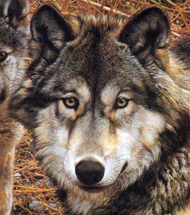 无招胜有招，Photoshop另类图片抠图方法教程