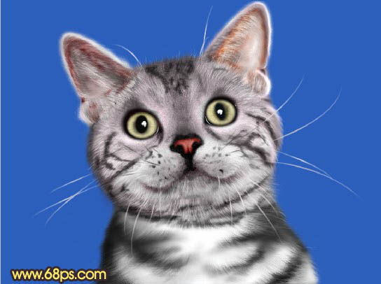 使用Photoshop鼠绘神态可爱的小灰猫详细教程