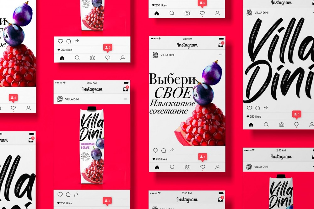 Villa Dini果汁包装设计欣赏