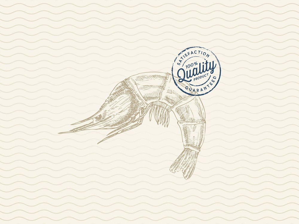 印度MatsyaKing泡菜包装设计欣赏