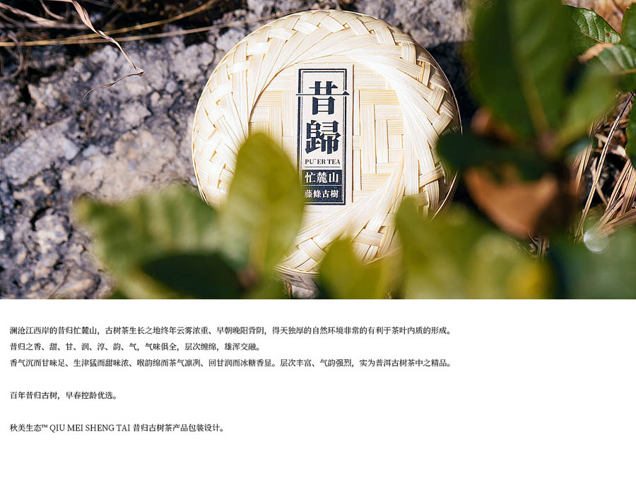 精选昔归古树茶包装设计欣赏