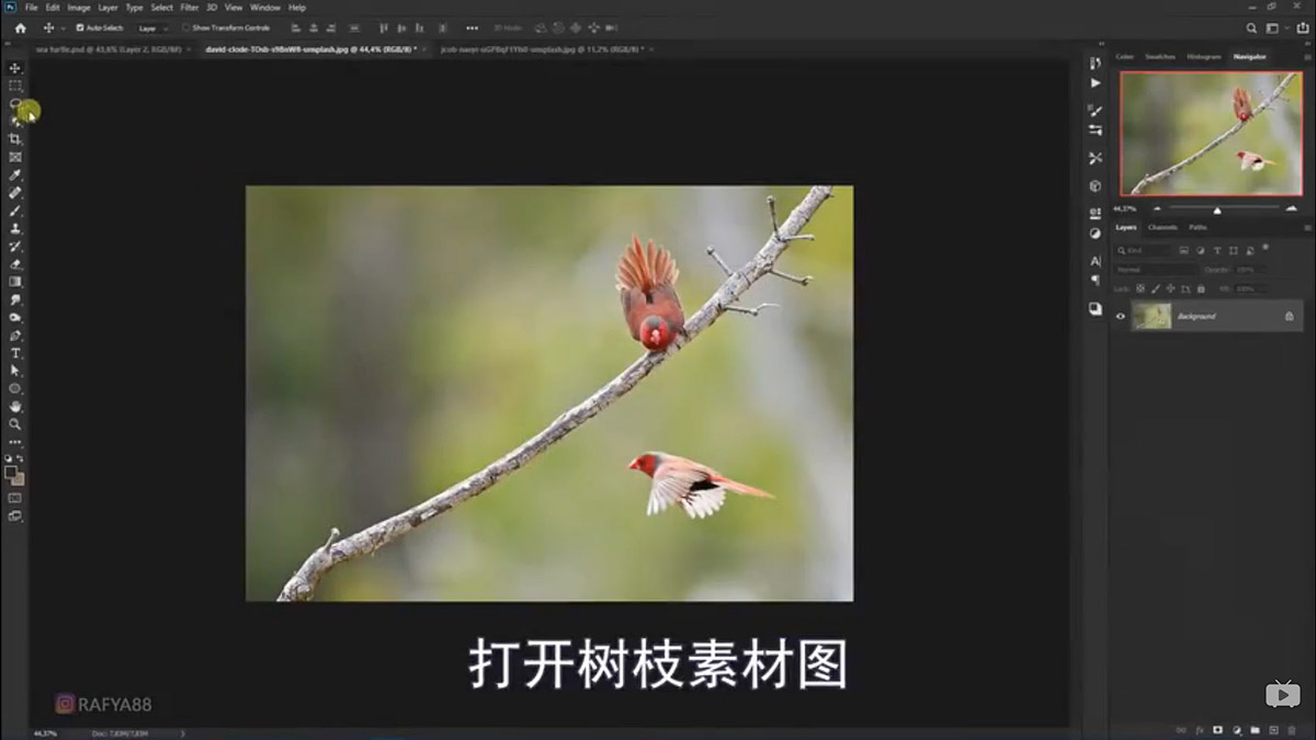 Photoshop合成海边海龟和被掀起的海浪场景