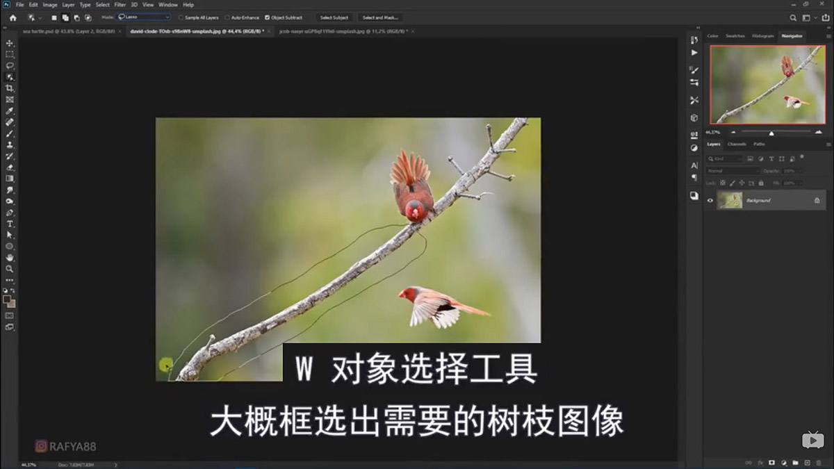 Photoshop合成海边海龟和被掀起的海浪场景