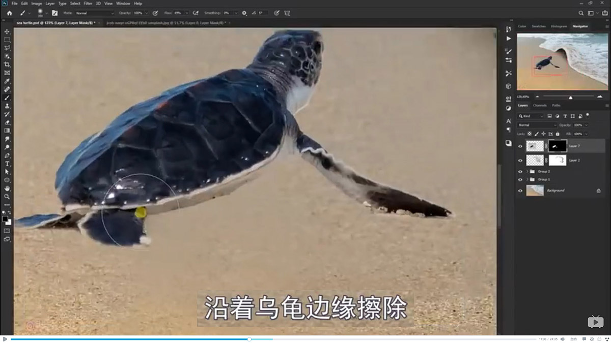 Photoshop合成海边海龟和被掀起的海浪场景