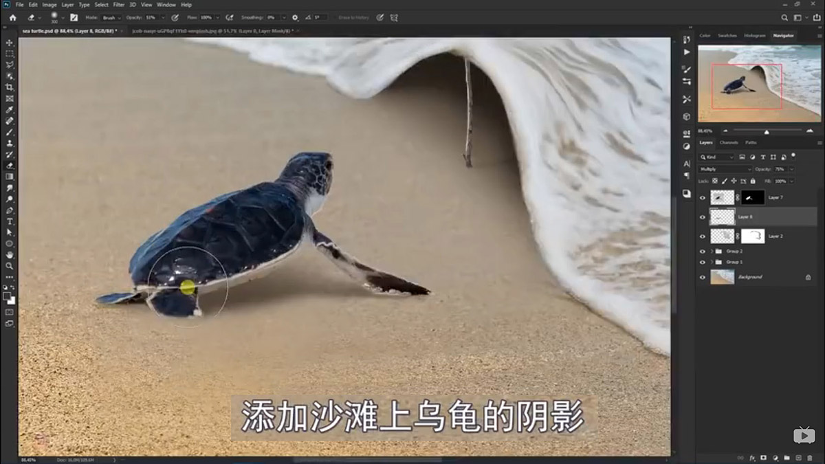 Photoshop合成海边海龟和被掀起的海浪场景