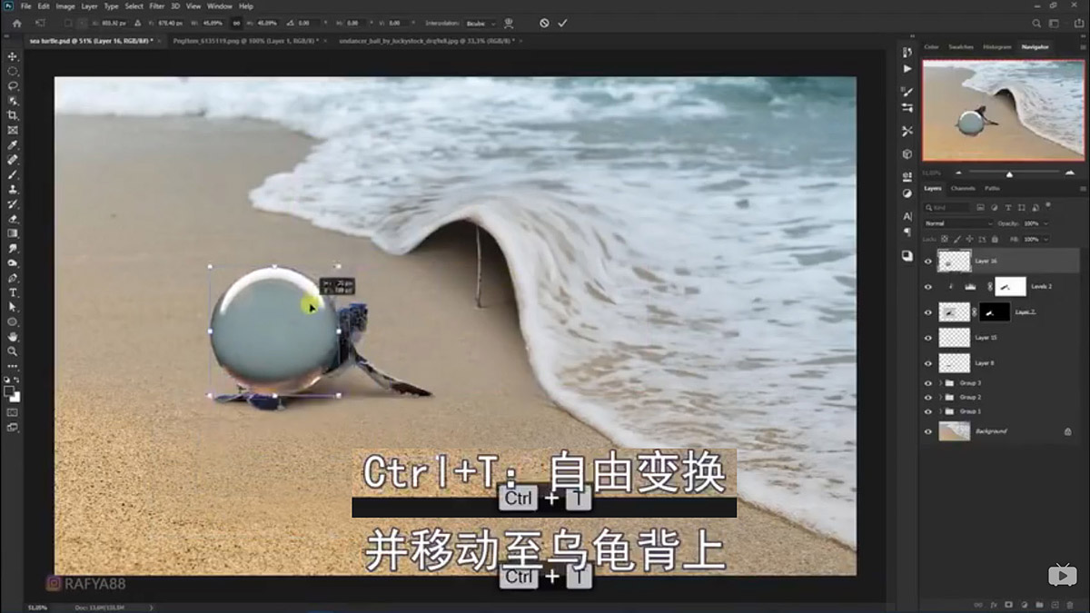 Photoshop合成海边海龟和被掀起的海浪场景