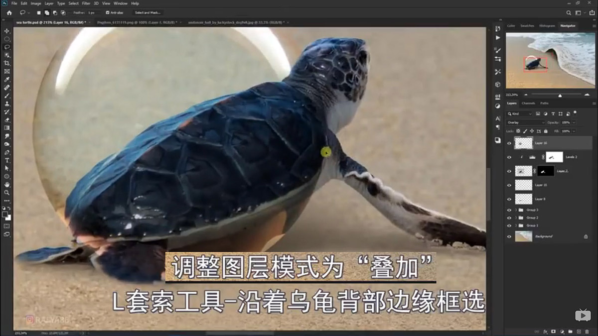 Photoshop合成海边海龟和被掀起的海浪场景