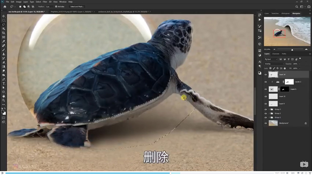 Photoshop合成海边海龟和被掀起的海浪场景