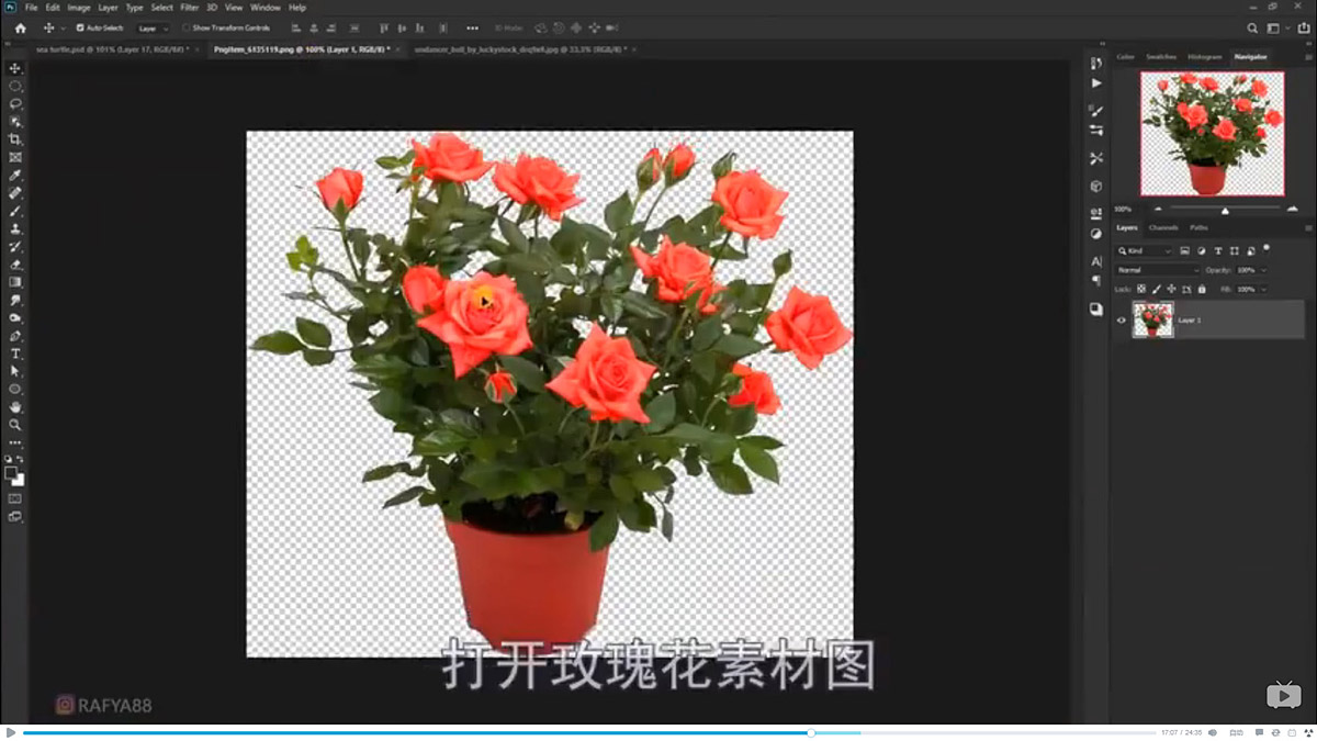 Photoshop合成海边海龟和被掀起的海浪场景