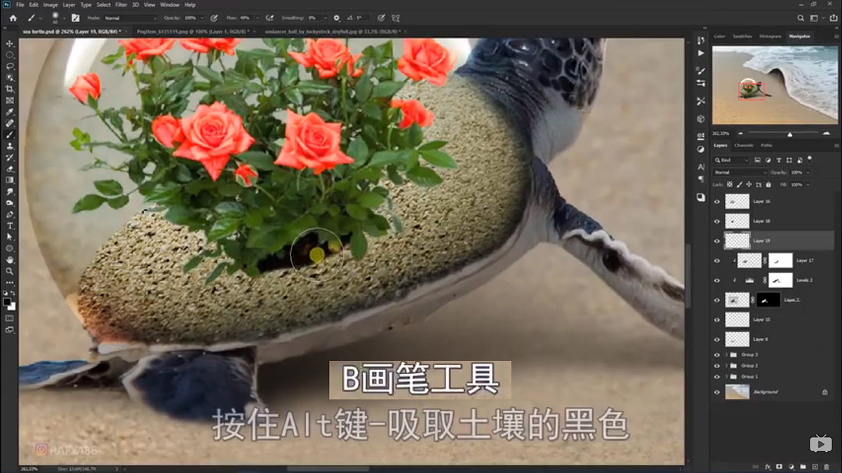 Photoshop合成海边海龟和被掀起的海浪场景