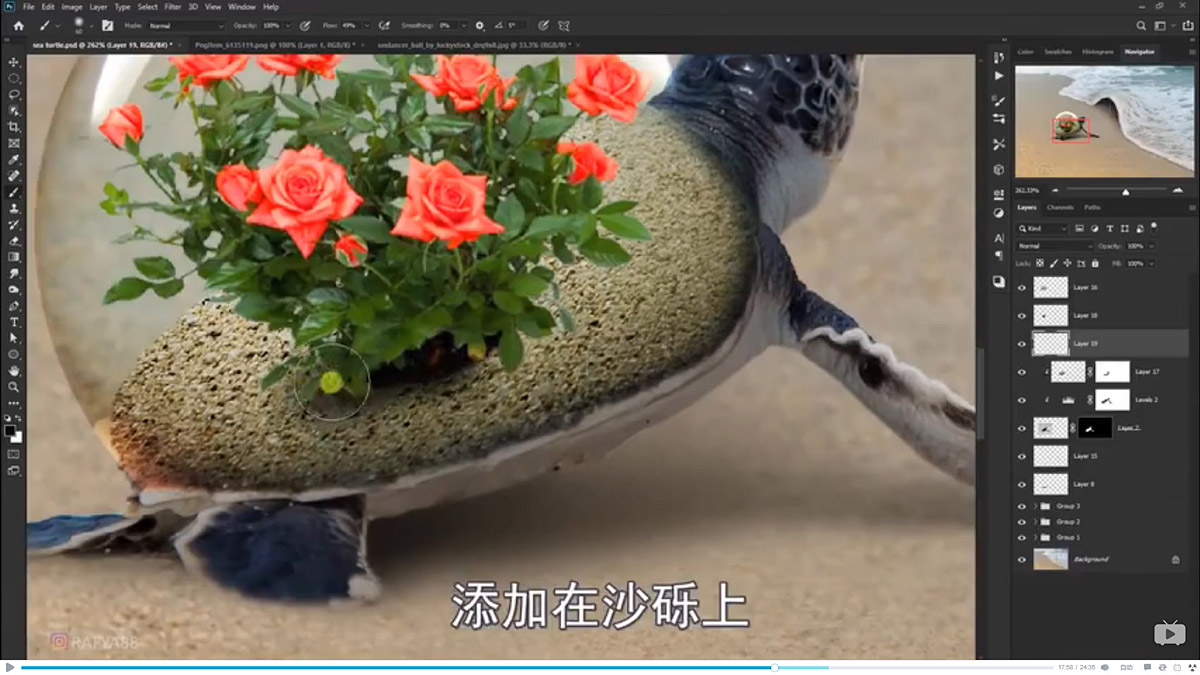 Photoshop合成海边海龟和被掀起的海浪场景