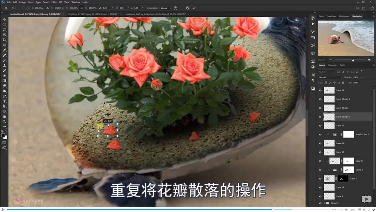 Photoshop合成海边海龟和被掀起的海浪场景