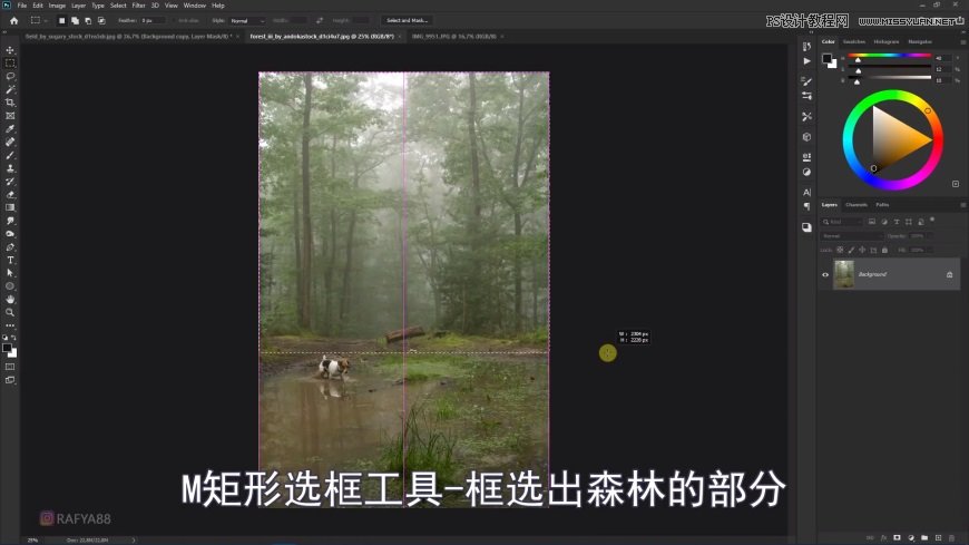 Photoshop创意合成森林中的新娘和鸟笼