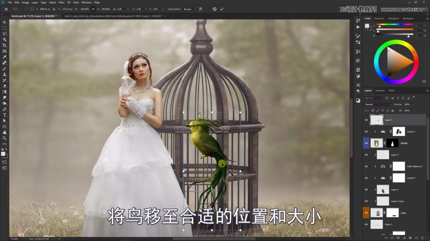 Photoshop创意合成森林中的新娘和鸟笼