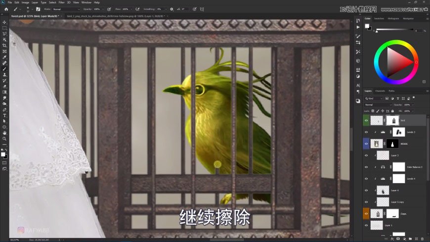 Photoshop创意合成森林中的新娘和鸟笼