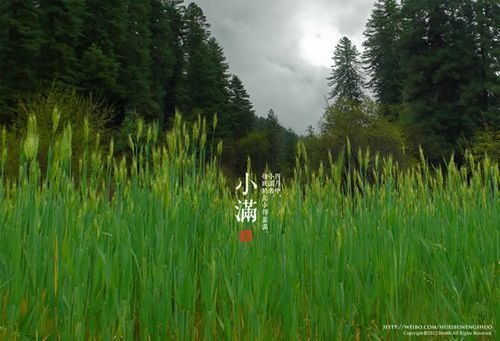 如何给后期摄影作品加上文字装饰