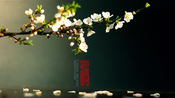 如何给后期摄影作品加上文字装饰