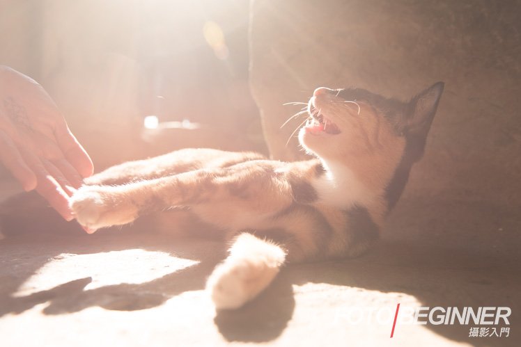 摄影师如何让自己的作品增加趣味性