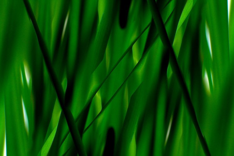 拍出抽象艺术作品的5个摄影小技巧