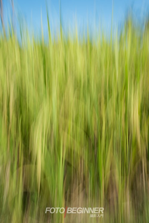 5个摄影小技巧拍出抽象艺术作品