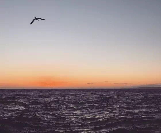 10个摄影技巧拍出高逼格的摄影作品