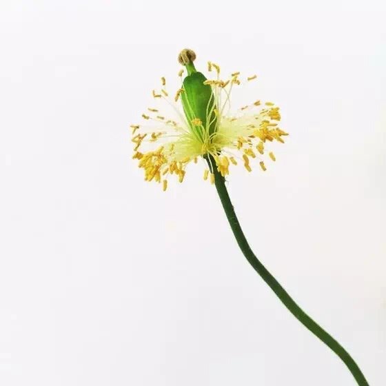 10个摄影技巧拍出高逼格的摄影作品