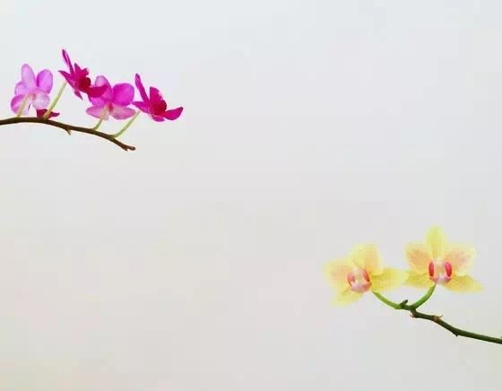 10个摄影技巧拍出高逼格的摄影作品