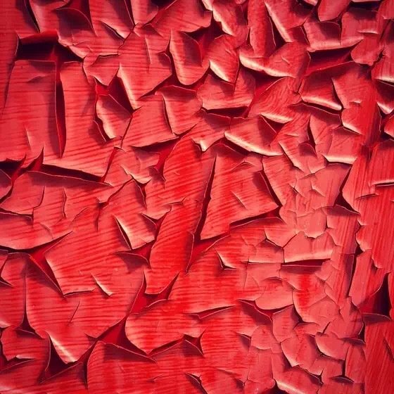 10个摄影技巧拍出高逼格的摄影作品