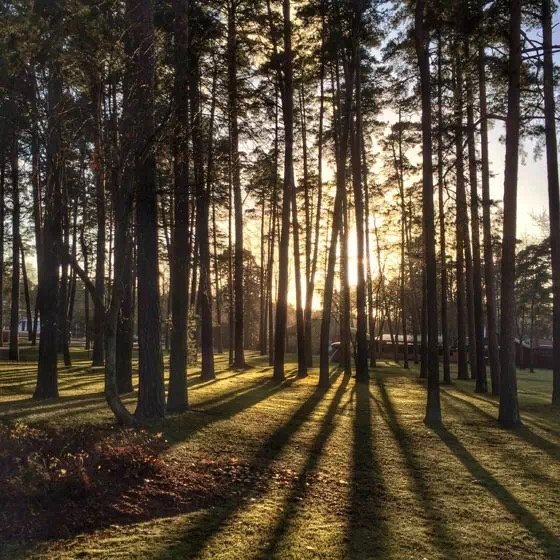 10个摄影技巧拍出高逼格的摄影作品