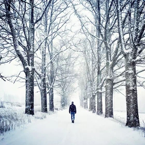 10个摄影技巧拍出高逼格的摄影作品