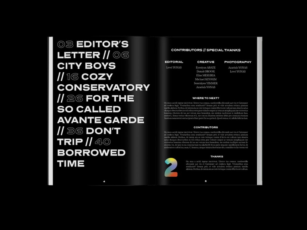 精选国外优秀Cozy杂志版式设计欣赏