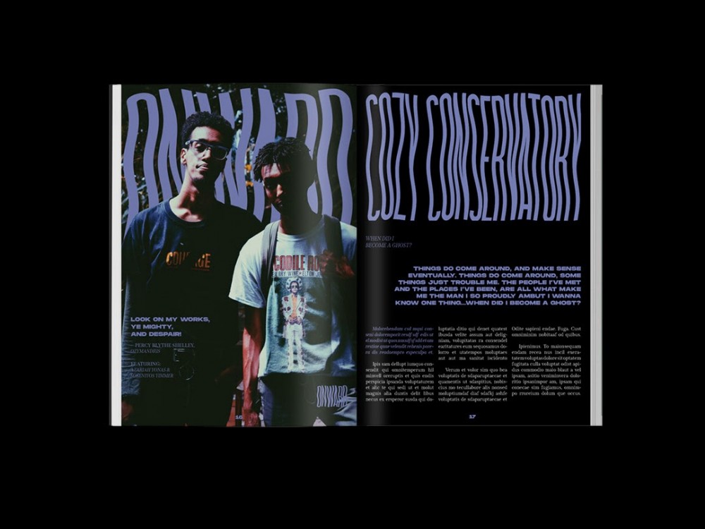 精选国外优秀Cozy杂志版式设计欣赏