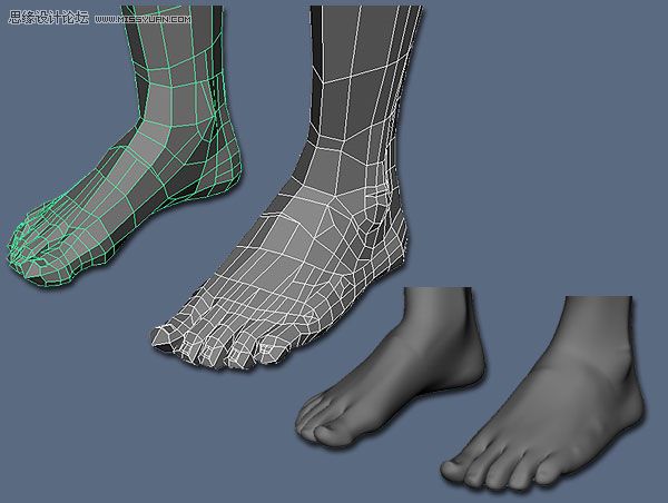 Maya建模教程：逼真脚部建模教程