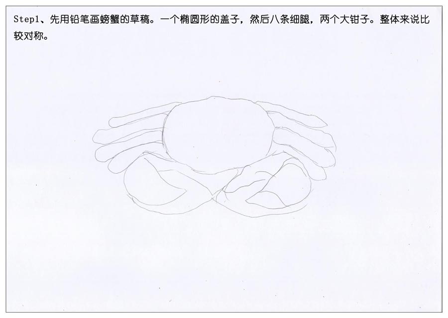 彩色铅笔画之手绘美食大闸蟹